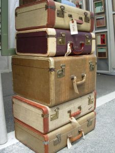 traveling bag