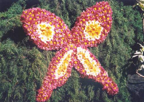 panagbenga festival baguio flower festival