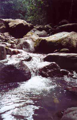 sta lucia river in dolores quezon