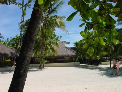 cebu resorts and hotels