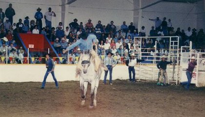 wow rodeo competition