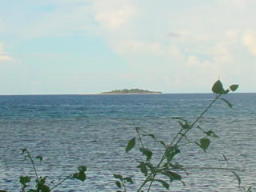 Mantique Island