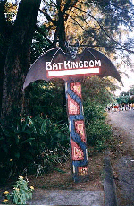 subic bat kingdom