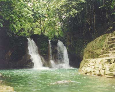 Bohol resorts and hotels